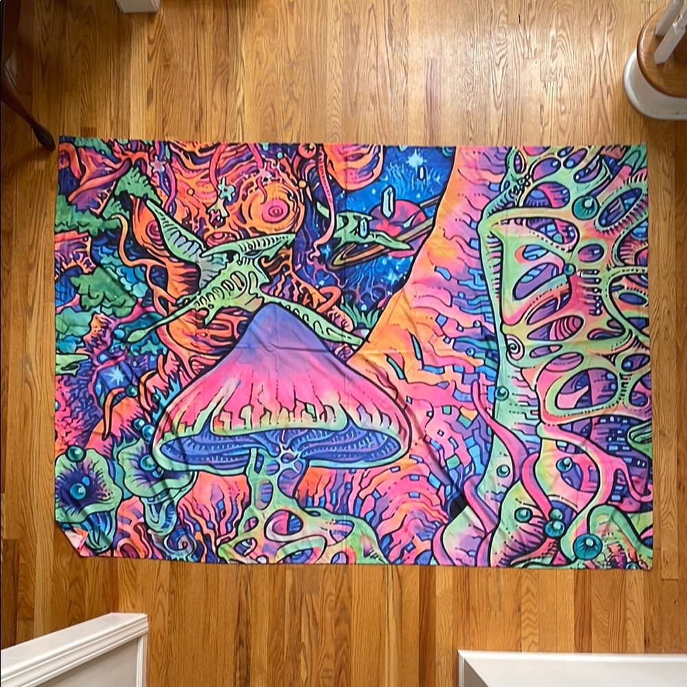 Source Unknown Pink and Blue Tapestry Wall Decor